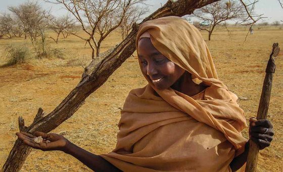 Looted gold and gum arabic are bankrolling Sudan’s war, UN warns