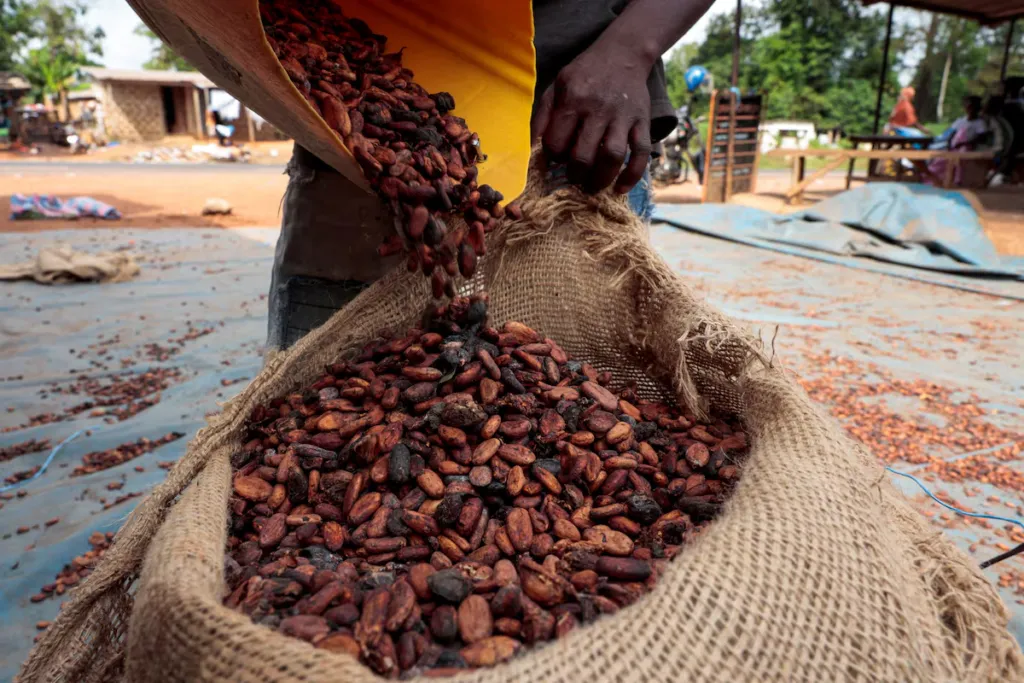 Government committed to revamping cocoa industry – COCOBOD