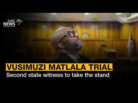 Matlala hit-plot trial: Second state witness testifies
