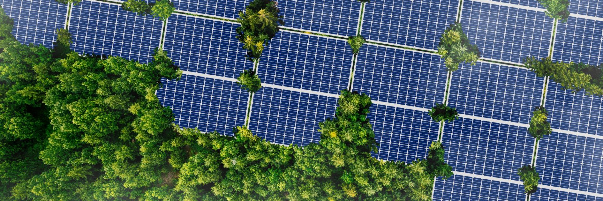 South African stakeholders review and validate recommendations towards accelerating green industrialization in Southern Africa